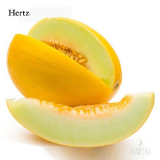 Ароматизатор Медовая дыня [Hertz & Selck]