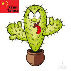 Ароматизатор Сactus - Кактус [Xi'an Taima]